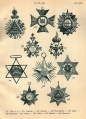 1902 Tafel 16.jpg