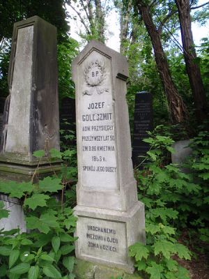 Jozefa Goldszmita-Grave of Jozef Goldszmit.JPG