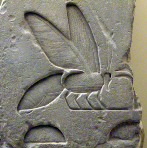 Beehieroglyph.png